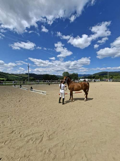 70480285-7b0b-4bf3-9f85-07707e7542c3